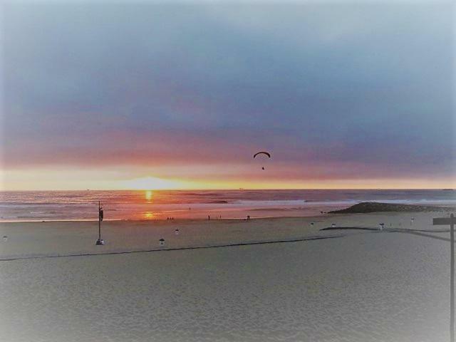 Apartamento Em Frente Ao Mar Costa Nova Esterno foto